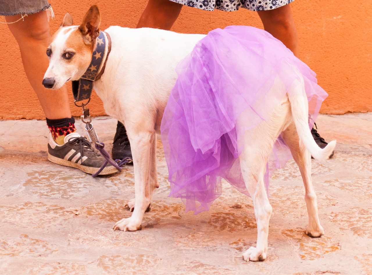 El vestido de Mónica